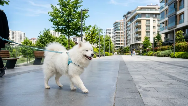 Beylikdüzü Veteriner Kliniği Hizmetleri